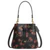 Coach Rowan 21 Cherry Print Bucket Bag Women Handbags Multicolor CCZ17-IMA47