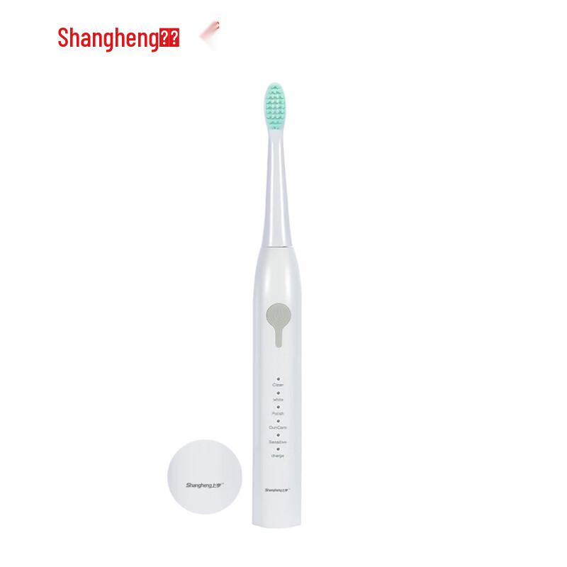 Звуковая электрическая зубная щетка Shangheng SHZH-KQ001 с 2 насадками, штекер CN (адаптер в комплекте)