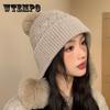 Новая шапка женская осенне-зимняя шерстяная шапка плюшевая теплая милая шерстяная шапка для велоспорта с ушками