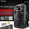 12-Inch Portable Bluetooth Karaoke Speaker with Microphone