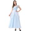 New Adult Ladies Fairy Tale Cinderella Princess Dress Halloween Cosplay Dress