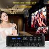 Songchuan SP101 Home KTV Professional Audio System CN plug (adapter included)
