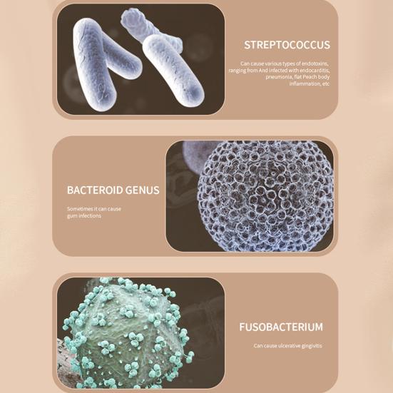 Professional Ultrasonic Retainer Cleaner with Timer High Frequency Waterproof US Plug Denture Jewelry Cleaning Machine