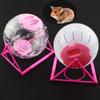 Small Pet Transparent Jogging Gerbil Hamster Sport Ball Rat Toy Grounder Exercise Balls