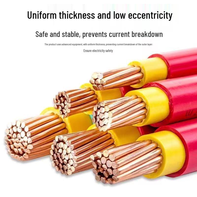 City BVV Flame Retardant Copper Core Double Plastic Cable 10/16/25/35/50/70 Square