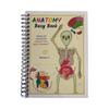 Human Anatomy  Human Body Anatomy