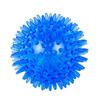 Sound Thorn Bite-Resistant Dog Ball: Elastic, Durable, Interactive TPR Pet Toy