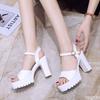 Fashion Summer New Sandals Ladies One Button Fish Mouth Shoes Versatile Elegant Super High Heels Fashion Comfortable Women's Sandals