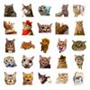 50PCS Realistic Cat Stickers, Cute Dumbfounded Expression Decals for Water Bottle, Notebook & Journal