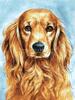 Full Round 5D Diamond Painting Dog Diy Embroidery Mosaic Animal Handmade Gift Home Decor