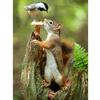 Полный 5D Diy Алмазная картина Мультфильм Белка и Птица Вышивка Крестом Домашний Декор Ручной Работы