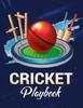 Книга Cricket Playbook