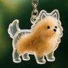 Animal Shaped Cat Hair Storage Capsule Dog Hair Storage Container  Memorial Key Ring