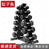 Ganziyu Hexagonal Rubber Dumbbells and Sets