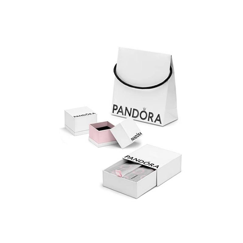 Pandora Love Story Chain Set Women Bracelet Silver ZT2497