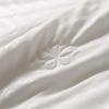 BOSS Mulberry Silk Antibacterial Fiber Duvet