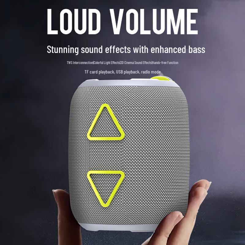 Newmine BT87 Portable Bluetooth Speaker CN plug (adapter included)