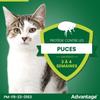 Раствор от блох ADVANTAGE Cat Rabbit +4 кг, 6 пипеток