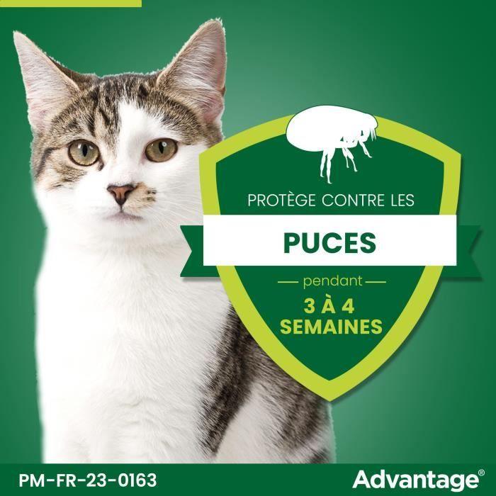 Раствор от блох ADVANTAGE Cat Rabbit +4 кг, 6 пипеток