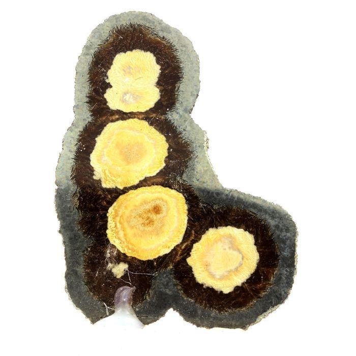 Pierres et Minéraux. Marcasite + Baryte. 593.0 ct. Lubin District, Lower Silesia, Pologne.