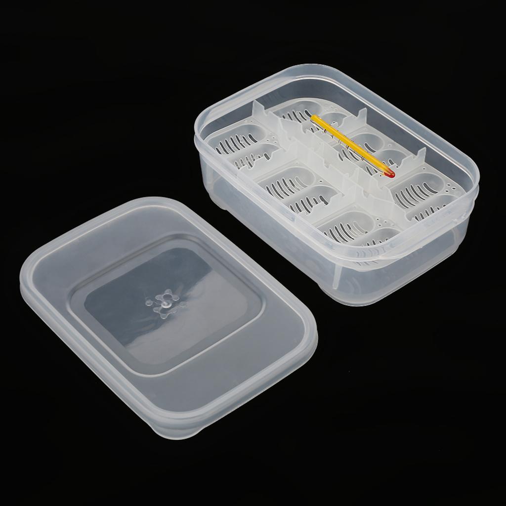 12 сеток, змей, гекконов, ящериц, рептилий, яиц, инкубатор, лоток, инкубационная коробка с термометром