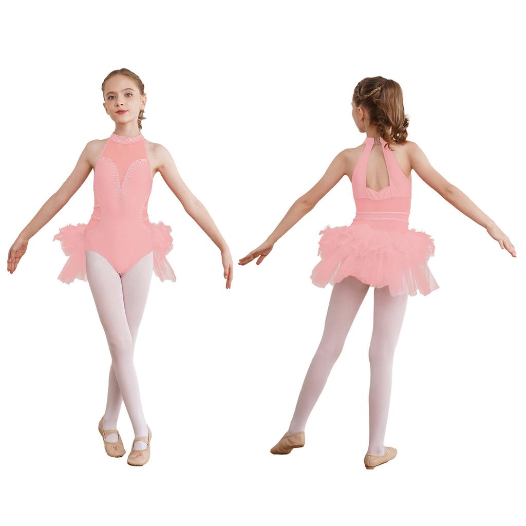 Kids Girls Ballet Jazz Dance Performance Ballerina Costume Sleeveless Fancy Skating Leotard Tulle Skirted Gymnastics Unitard