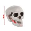 1PC High Quality Home Decor Party Decoration Hanging Decor Skull Head Human Skeleton Halloween Props
