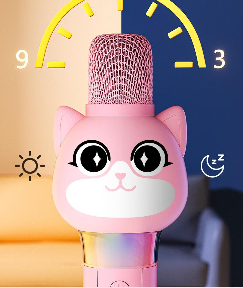 Wireless Kids' Karaoke Microphone & Speaker: Echo, Singing, & Early Education Toy for Little Girls