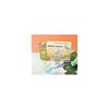 Coffret Comptoir des Savons Dino Graine Créative 200515 - Créez et personnalisez de magnifiques savons en formes de dinosaures