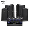 Ridiss AC210 Conference Room Audio System Set