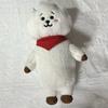 [Б/У] BTS BT21 RJ Стоящая кукла Прибл.. Плюшевая игрушка 40 см