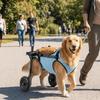 Adjustable Pet Wheelchair Cart Comfortable Dog Mobility Scooter  Disabled Dogs Cat