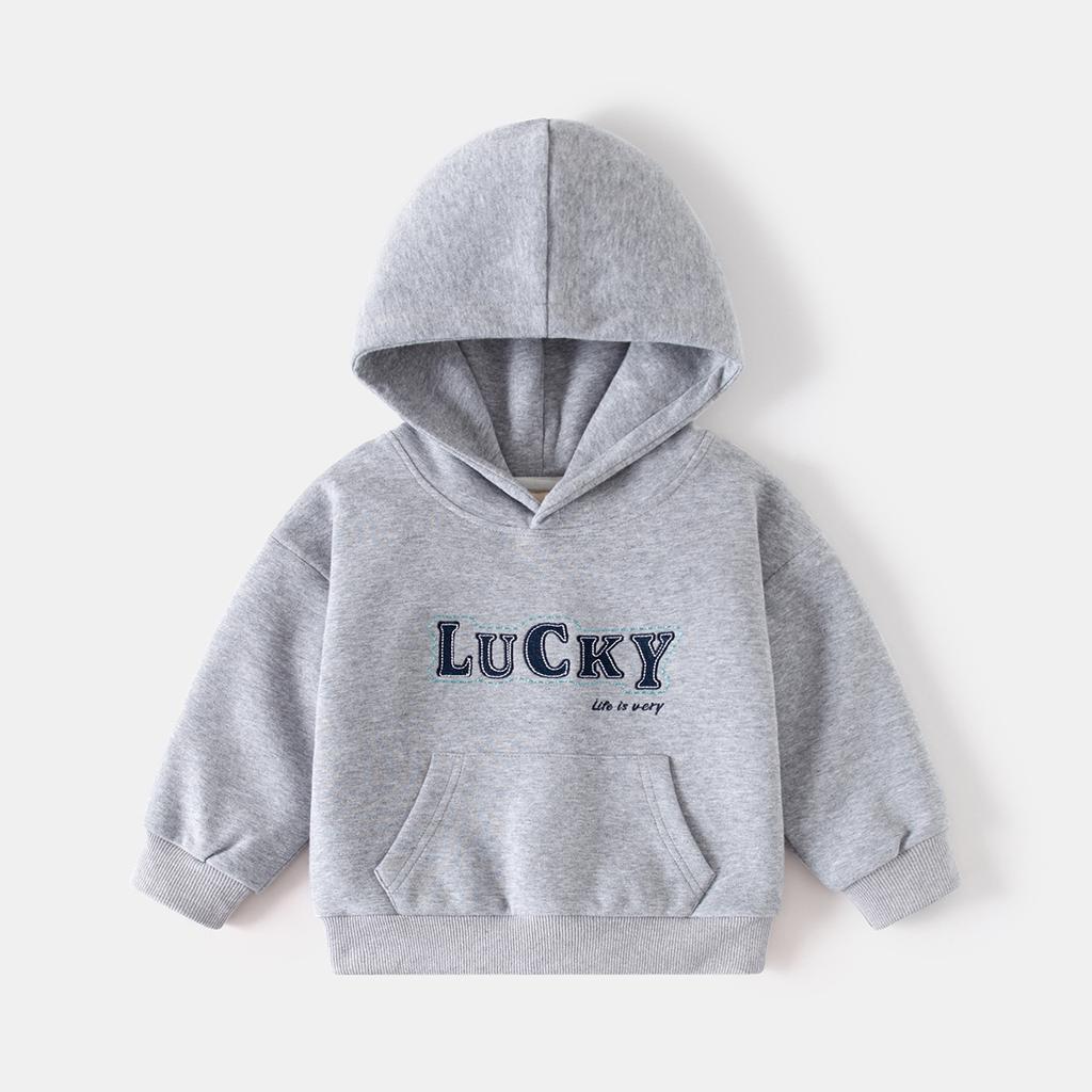 Boys Hoodie Sweatshirt Long Sleeve Casual Streetwear Pullover Spring Autumn Fashion Top Clothing for Toddler and Kids