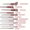 13-Piece Pro Soft Fluffy Makeup Brush Set Premium Cosmetic Eyeshadow Blending Brushes Kit for Women ABS Plastic Rod and Gentle Polyester Bristles