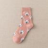 Cute Cartoon Dog Women‘s Sock Kwaii Korea Harajuku Funny Dalmatian Malzis Teddy Pomeranian Long Sox Skarpetki Chaussette Meias
