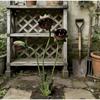 Rust-proof Carnivorous Plant Floral Stakes Colorful Painted Yard Art  Outdoor Yard