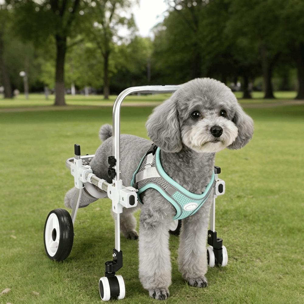 Breathable Harness Pet Rehabilitation Cart Disabled Pet Walking Aid Rehabilitation Training