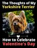 Книга The Thoughts of My Yorkshire Terrier : How To Celebrate Valentine's Day