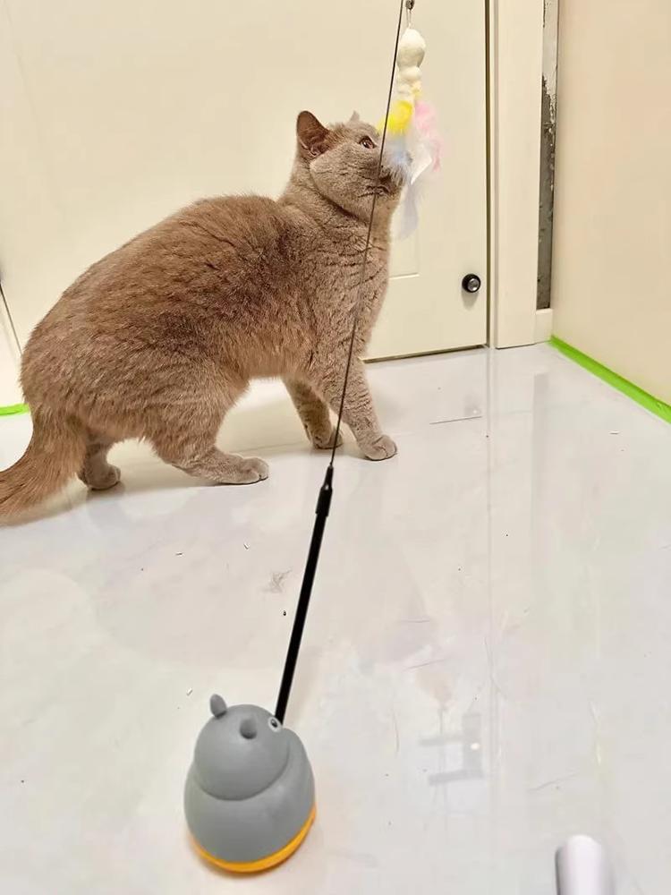 360 Degree Rotating Cat Teaser Wand With Feather Bell Wire Self-play Toy For Indoor Cats Boredom Relief Interactive Fishing Toy