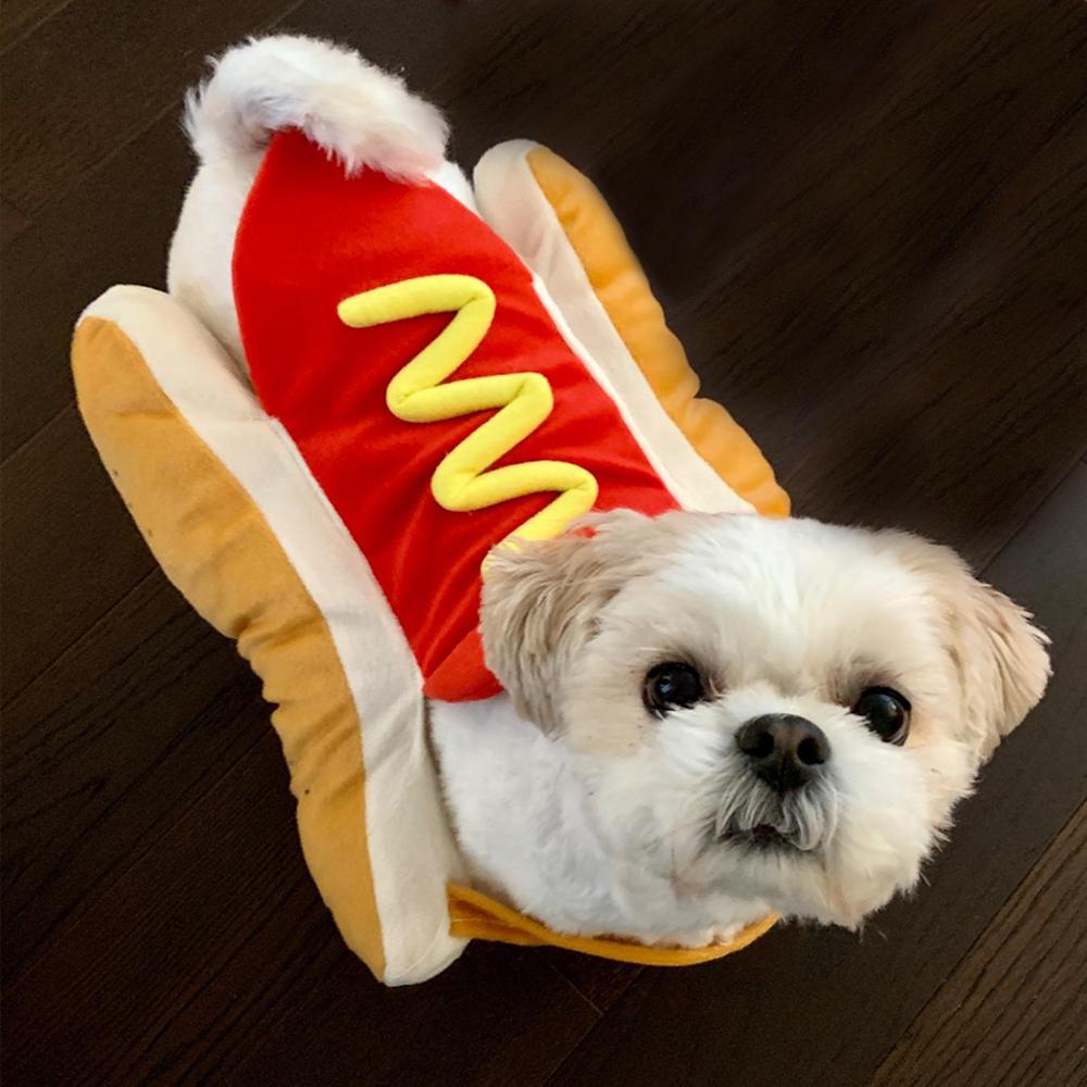 Костюм собаки на Хэллоуин, плюшевый косплей, забавный наряд для хот-догов, костюмы для домашних животных, сфинкса, щенка, подарок на вечеринку, котенок, теплый наряд для таксы, одежда, товары для домашних животных