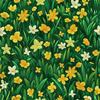 Outdoor Dekostoffe Oxford - Motiv Frühling I Dx7608