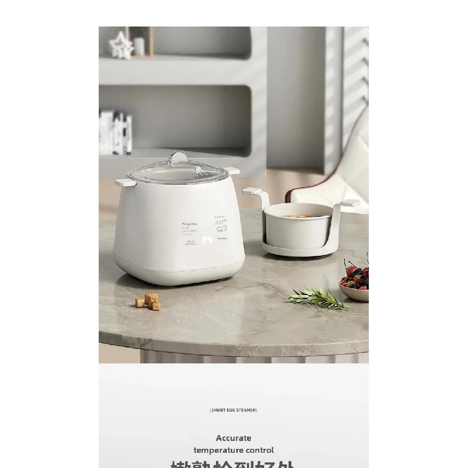 Mini Multifunctional Home Use Automatic Shutdown Egg Boiler 110V Pre-Timed Breakfast Egg Cooker Small Personalized Motorcycle Eq