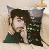 Internet Celebrity Fede VVigevani Cushion Cover Silky Short Plush Invisible Zipper Dustproof Sofa Pillow Case for Home Decor