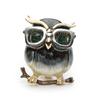 1pcs Cute Green Eyes Owl Brooch for Wear Glasses Fashion Enamel Pin Animal Sunglasses Owl Brooch