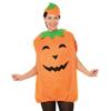 Bristol Novelty Womens/Ladies Pumpkin Costume