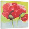 Canvas Print Red Poppies Nature