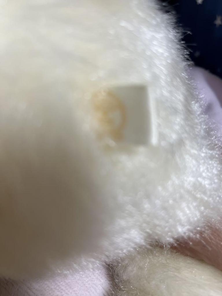 [USED] Hirokun House Teddy Bear