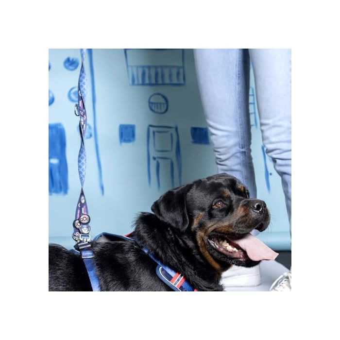 Laisse Pour Chiens - Cerdá - Marvel - Multicolore - Décontracté - 8 X 28 X 0.1 Cm