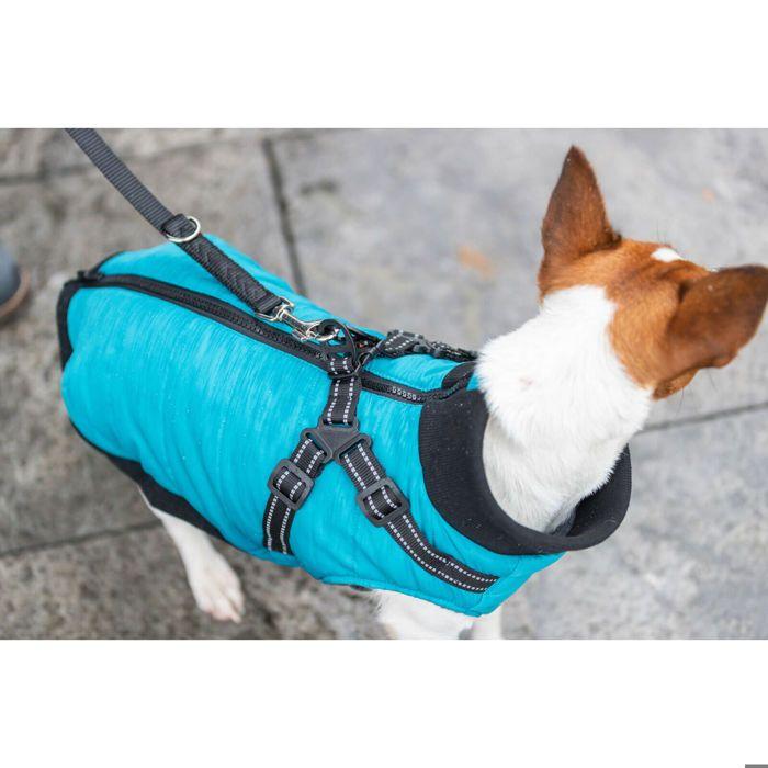 Manteau pour chien - TRIXIE - Pontis - Turquoise - Harnais intégré - Détails réfléchissants