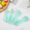 Natural Color Wedding Ornaments Home Decoration Colorful Feather Costume Decoration Goose Feathers